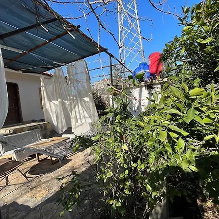 Hotel Iztuzu Plajina 3km Uzaklikta,sevimli, Sicak Muestakil Koey Evi Bogazagzi