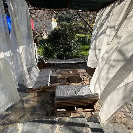 Hotel Iztuzu Plajina 3km Uzaklikta,sevimli, Sicak Muestakil Koey Evi