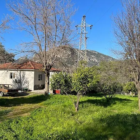 Iztuzu Plajina 3Km Uzaklikta,Sevimli, Sicak Muestakil Koey Evi Hotell *